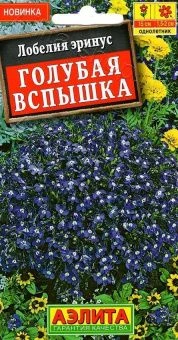 00026110_Лобелия Голубая вспышка (Аэлита)