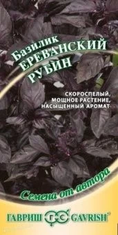 00025933_Базилик Ереванский рубин 0,3 г (Гавриш)