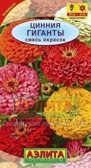 Цинния Гиганты смесь (Аэлита)