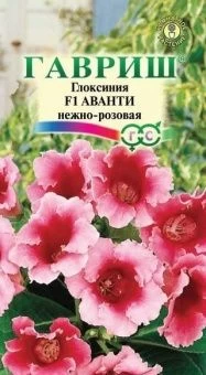 Глоксиния Аванти нежно-розовая (Гавриш) 1/1000