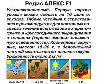 Редис Алекс (Аэлита) (2)