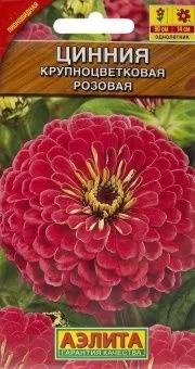 00001948_Цинния Крупноцветковая розовая (Аэлита)