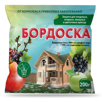 Bordoska5