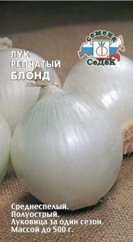 00018523_Лук Блонд (СеДек)