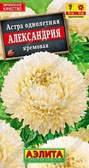 00014350_Астра Александрия кремовая (Аэлита)