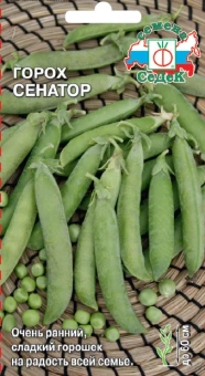 Снимок2
