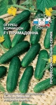 00011888_ Огурец Примадонна (СеДек)