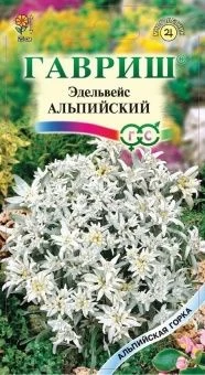 00012574_Эдельвейс Альпийский (Гавриш) 1_1000