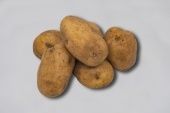Картофель Самба Элита белоклубневый среднеранний сетка  30+/- 1кг (ЧР)