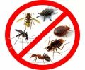 Средства от бытовых насекомых
