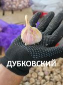 Чеснок озимый Дубковский 1кг +/-10% калибр 40-50 1/3/10 (Омск)