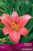 Лилейник гибридный Пинк Дамаск (ПОИСК)