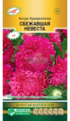 Астра ХРИЗАНТЕЛЛА Сбежавшая невеста китайская 5шт (Евросемена)