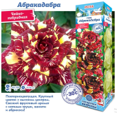 Роза Абракадабра чайно-гибридная (Сиб сад)