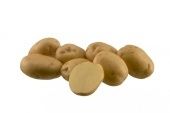 Картофель Ривьера Элита белоклубневый раннеспелый сетка  30+/- 1кг (ЧР)