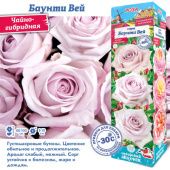 Роза Баунти Вэй чайно-гибридная (Сиб сад)