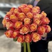 Роза 3G чайно-гибридная (Садовита)