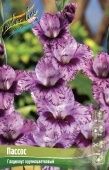 Гладиолус ПАССОС 10шт (КолорЛайн)