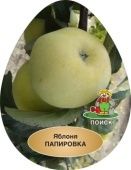 Яблоня Папировка (в коробке) (ПОИСК)