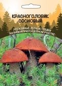 Гриб Красноголовик Сосновый (УД) 