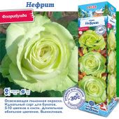 Роза Нефрит флорибунда (Сиб сад)