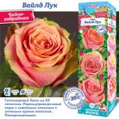 Роза Вайлд Лук чайно-гибридная (Сиб сад)