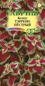 Колеус Тэррено пестрый 4шт (Гавриш)