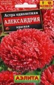 Астра Александрия красная (Аэлита)