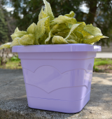 Валенсия квадрат горшок с поддоном 2,9л d19 h15 лаванда 1/14 (ТехПласт)