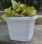 Валенсия квадрат горшок с поддоном 2,9л d19 h15 белый 1/14 (ТехПласт)