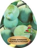 Слива Ренклод колхозный (в коробке) (ПОИСК)