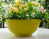 Миска Парма без поддона 2,7л d22,5 h10,5 фисташка 1/20 (ТехПласт)