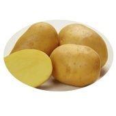 Картофель Лисана Элита белоклубневый раннеспелый сетка 30+/- 1кг (Самара)
