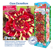 Роза Сим Салабим чайно-гибридная (Сиб сад)