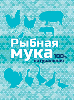 Снимок