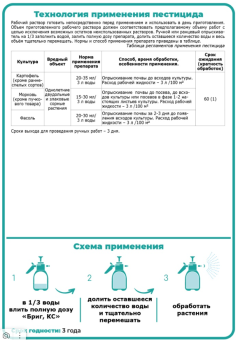 Бриг (ЩА)