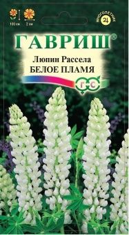 00017755_Люпин Белое пламя (Гавриш)
