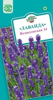 00007997_Лаванда Вознесенская (Г)