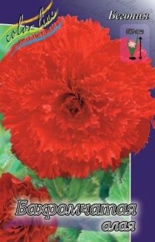 00027306_Бегония бахромчатая Алая 5шт (КолорЛайн)