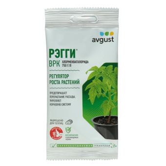 00024489_Рэгги 1мл (Август)