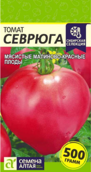 Снимок экрана 2025-08-08 143214