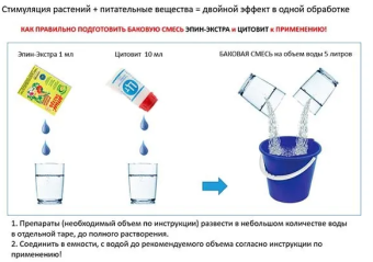 Эпин Экстра ампула 1мл 110500 (НэстМ) (2)