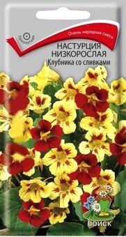00021367_Настурция Клубника со сливками низкоросла