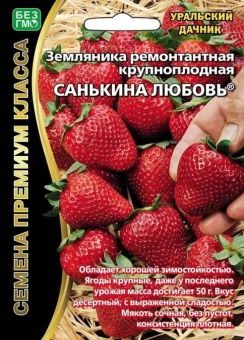 00041225_Земляника Санькина любовь ремонтантная 6ш