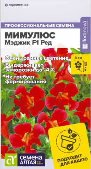 Снимок