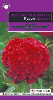 00034016_Целозия Курум красная гребенчатая 10шт (Г