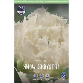 tyulpan-snou-kristal-w800-h800