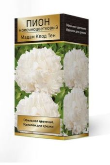 pion_moloch_madam_klod_ten_3D