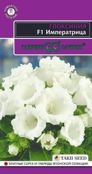 Глоксиния Императрица (Гавриш) 