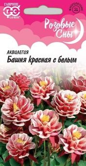 00029299_Аквилегия Башня красная с белым серия Роз
